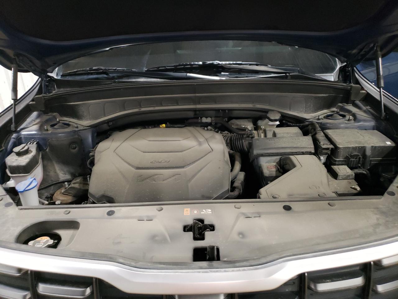 2024 Kia Telluride S VIN: 5XYP6DGC0RG561410 Lot: 69485705