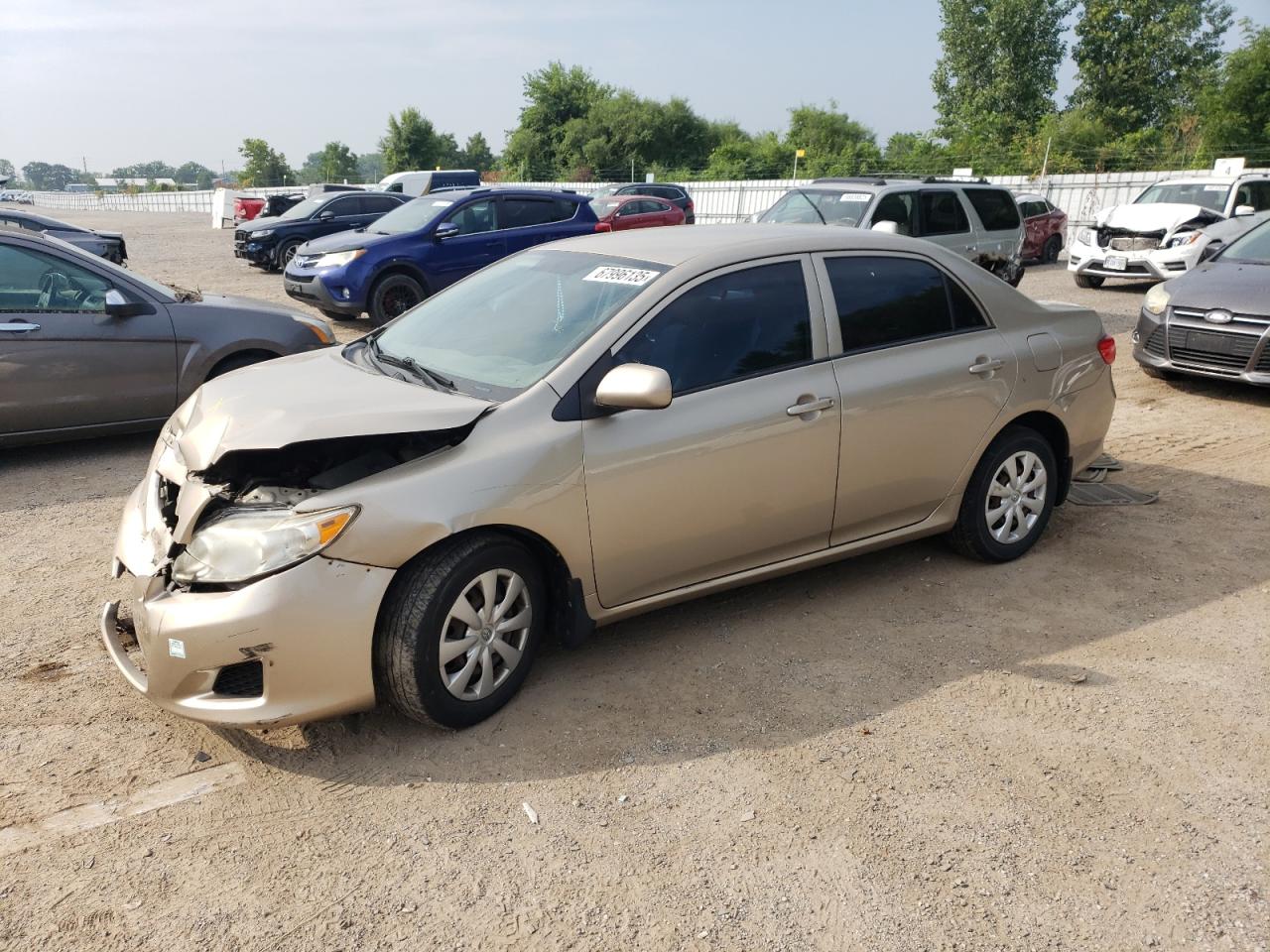 2009 Toyota Corolla Base gold null gas 2T1BU40E99C179996 photo #1