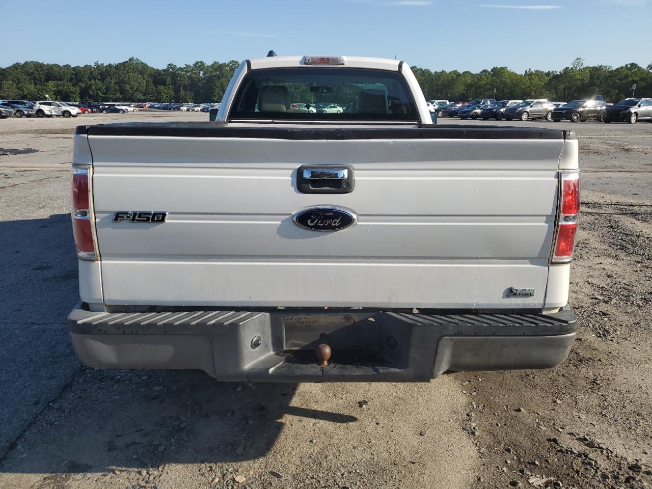 2010 Ford F150 VIN: 1FTMF1CW6AKA6427 Lot: 69016095