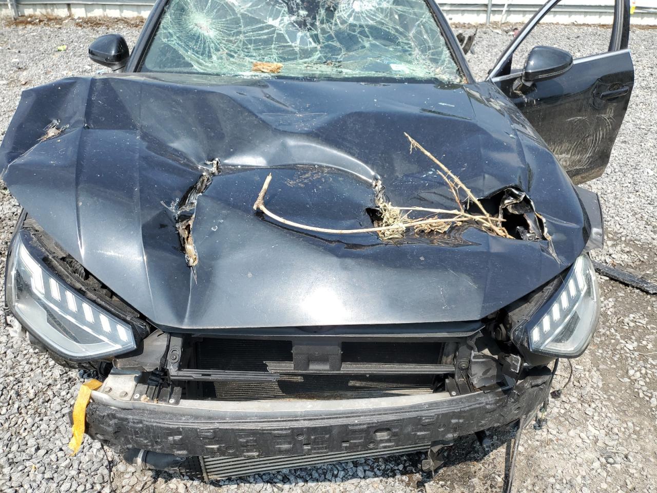 2020 Audi A4 Premium Plus VIN: WAUENAF44LN006489 Lot: 67994275