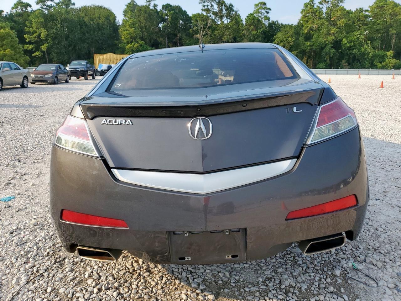 2009 Acura Tl VIN: 19UUA86539A023796 Lot: 70693085