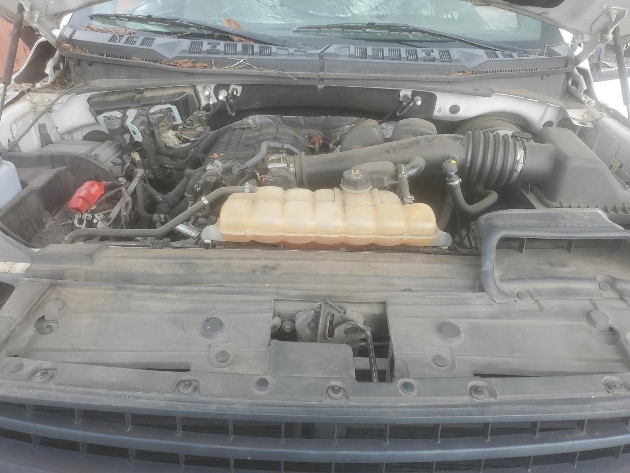 2018 Ford F150 VIN: 1FTMF1CB8JKD77264 Lot: 68337415