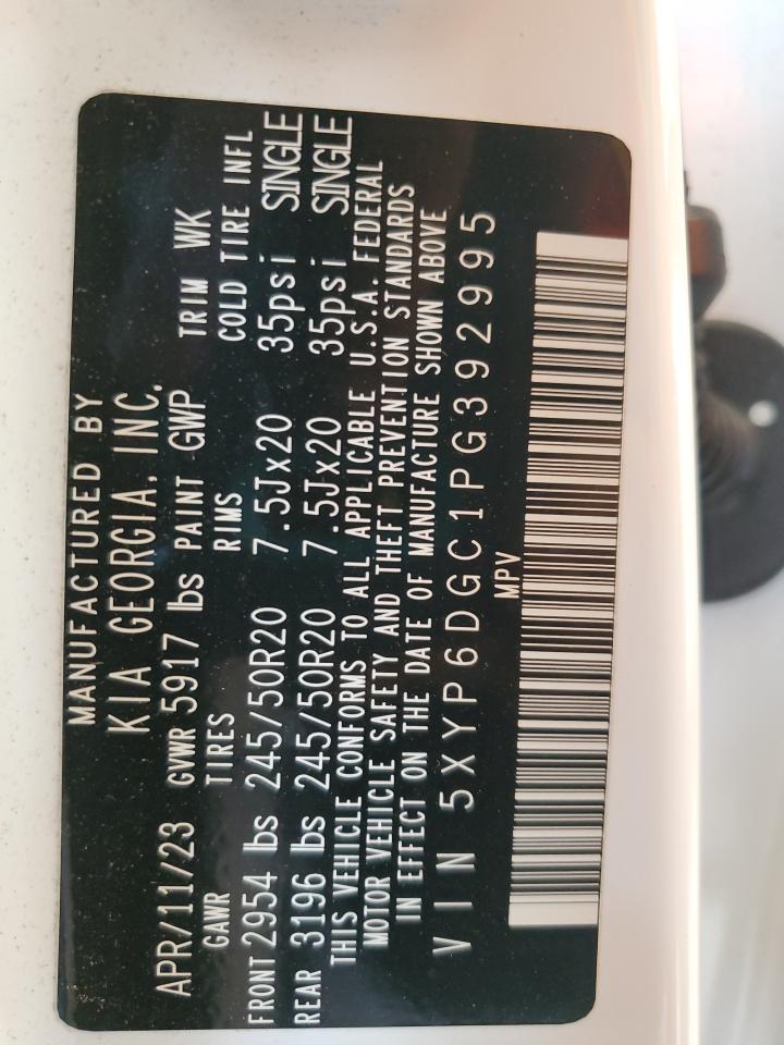 2023 Kia Telluride S VIN: 5XYP6DGC1PG392995 Lot: 70151575