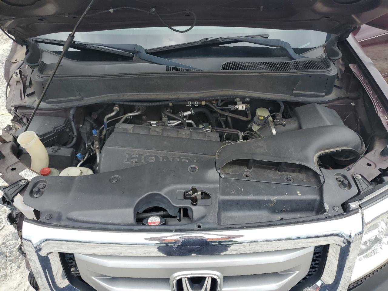 2009 Honda Pilot Exl VIN: 5FNYF38559B023954 Lot: 68285745