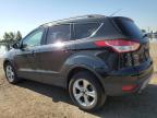 2014 FORD ESCAPE SE   à vendre chez Copart AB - CALGARY