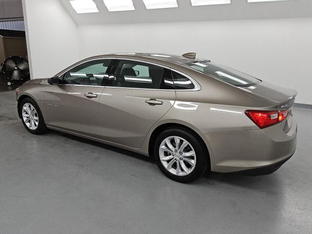  CHEVROLET MALIBU 2024 Złoty