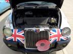 2010 LONDON TAXIS INT TX4 GOLD for sale at Copart SANDY