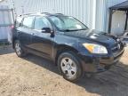 2009 TOYOTA RAV4    à vendre chez Copart ON - TORONTO
