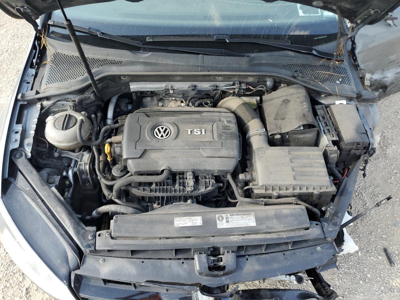 2017 Volkswagen Golf S VIN: 3VW217AUXHM064648 Lot: 67496355
