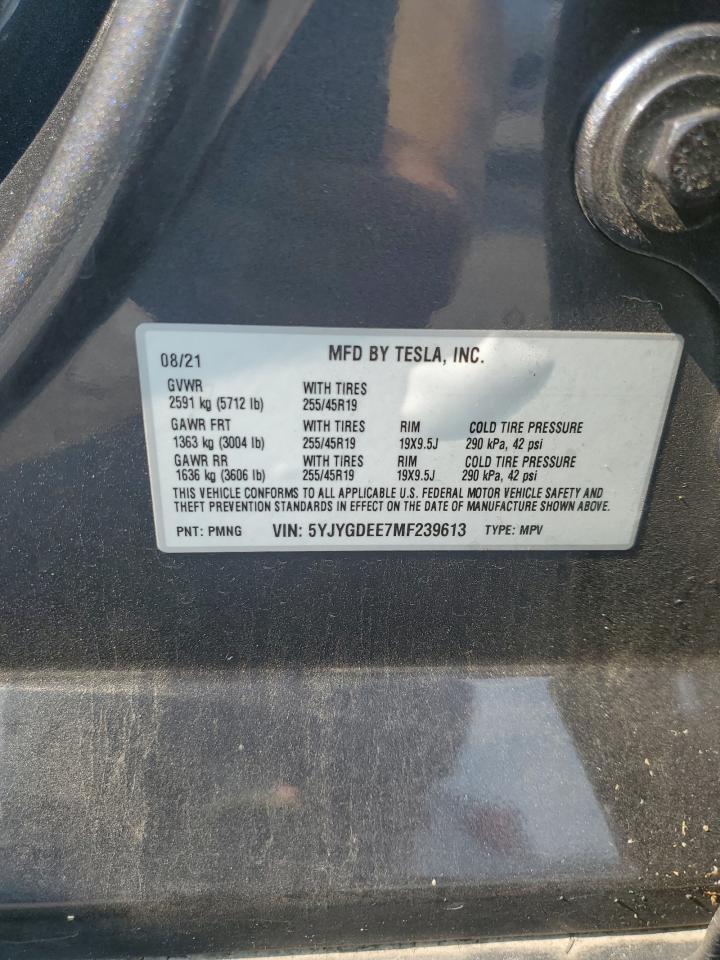 5YJYGDEE7MF239613 2021 Tesla Model Y