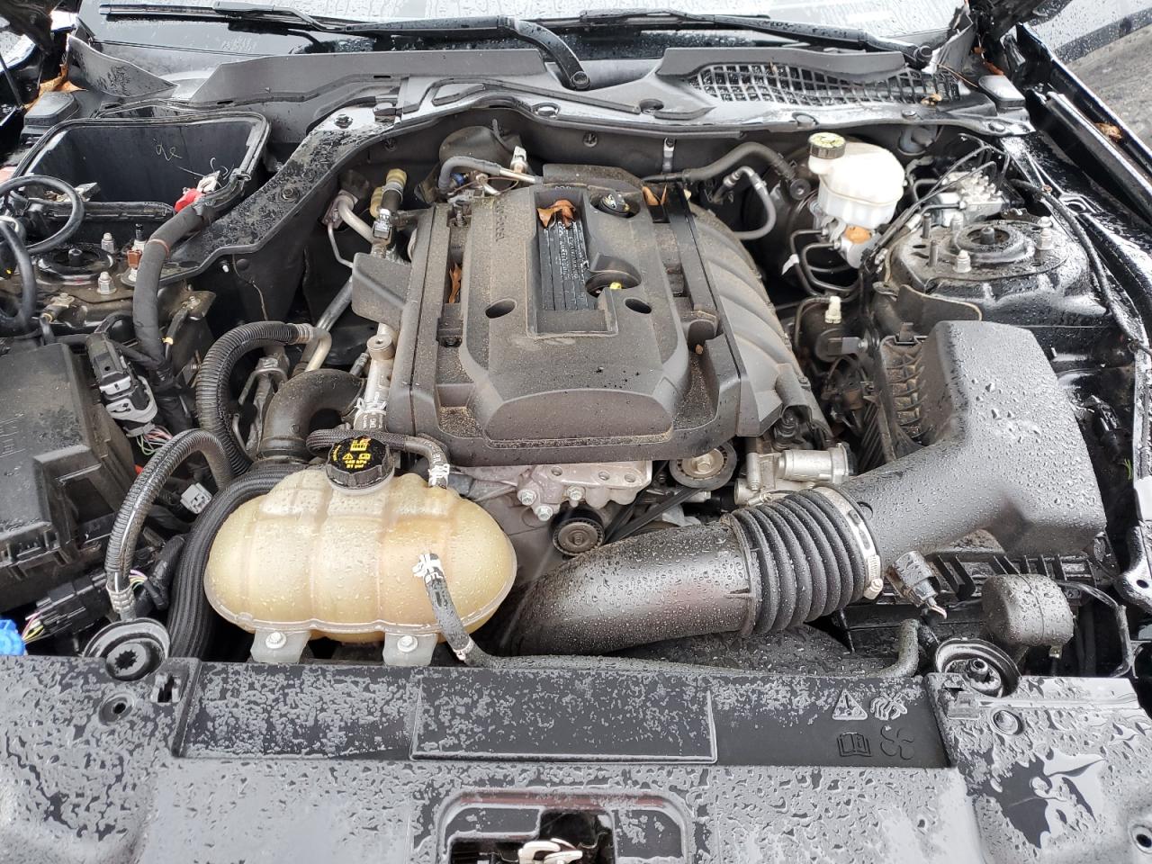 2020 Ford Mustang VIN: 1FA6P8TH0L5122876 Lot: 70004315