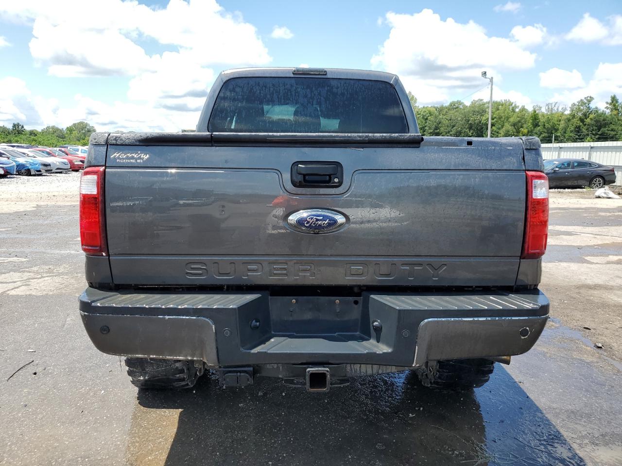 2016 Ford F250 Super Duty VIN: 1FT7W2BT1GEB91473 Lot: 67912475