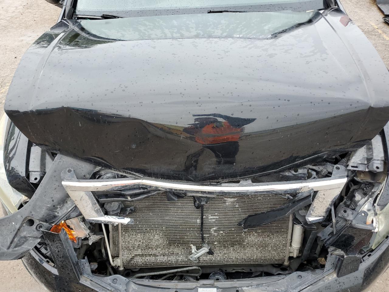 2010 Honda Accord Exl VIN: 1HGCP2F80AA116538 Lot: 70262405