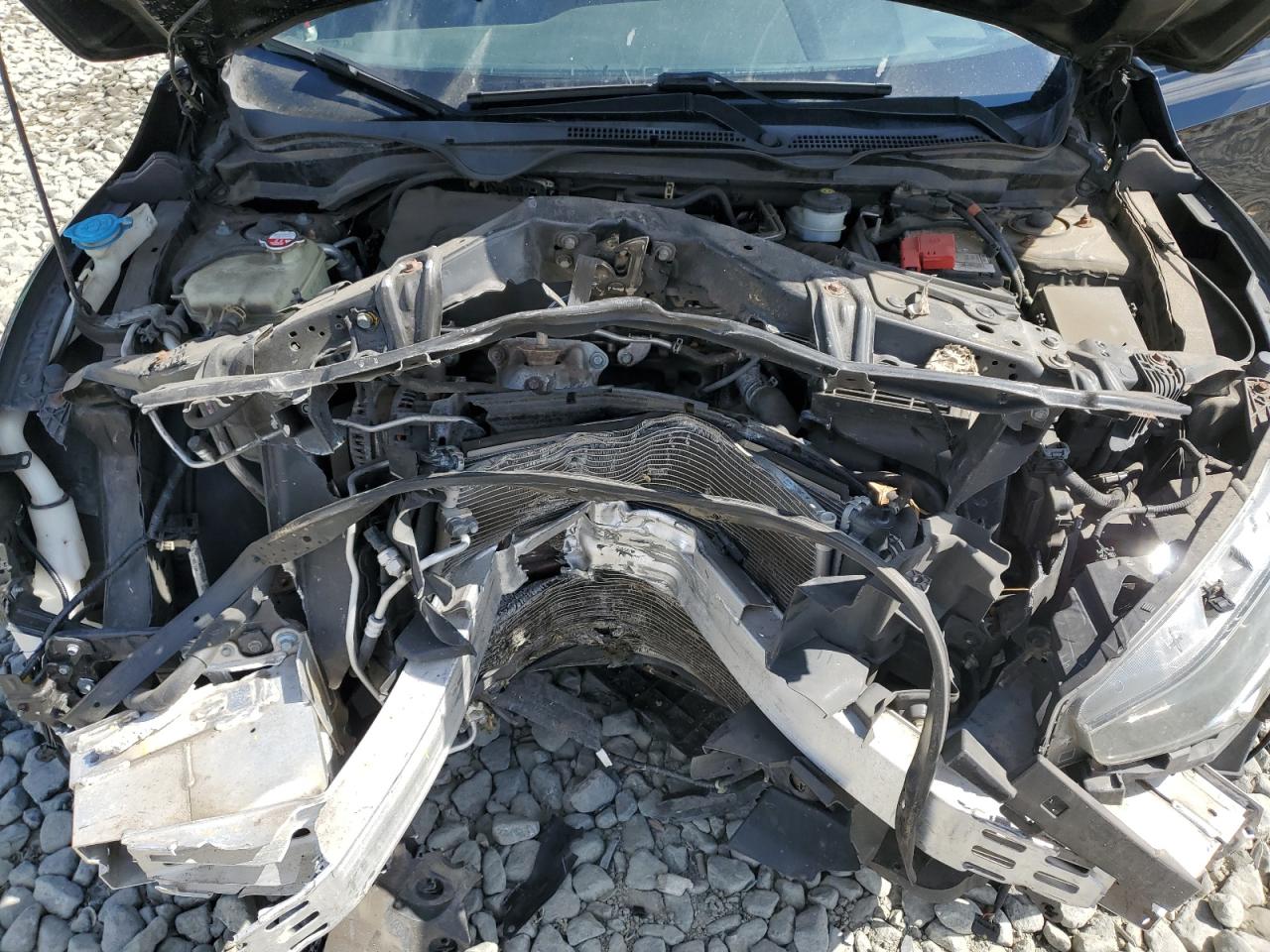 2019 Honda Civic Sport VIN: 2HGFC2F84KH505579 Lot: 70562165