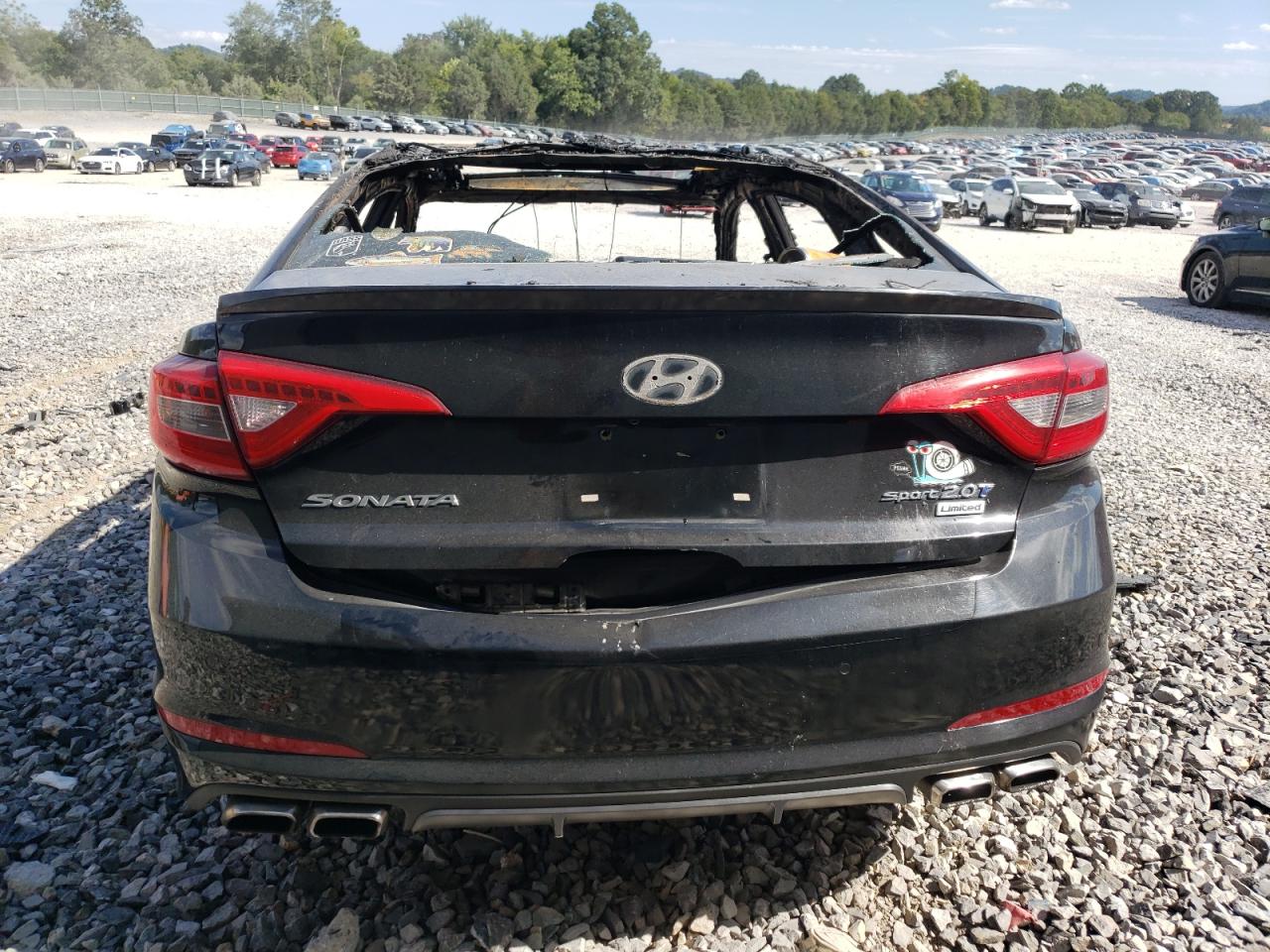 2015 Hyundai Sonata Sport VIN: 5NPE34ABXFH237997 Lot: 70437245