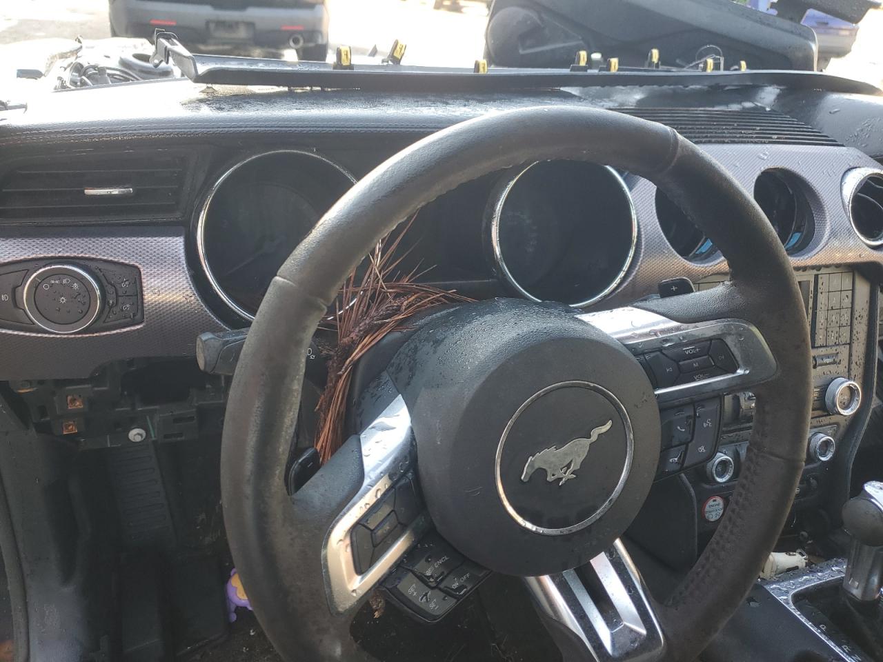 2017 Ford Mustang VIN: 1FA6P8TH6H5228207 Lot: 69043565