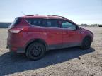 2013 FORD ESCAPE SEL   à vendre chez Copart ON - OTTAWA