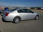 2007 NISSAN MAXIMA SE à vendre chez Copart CA - SACRAMENTO