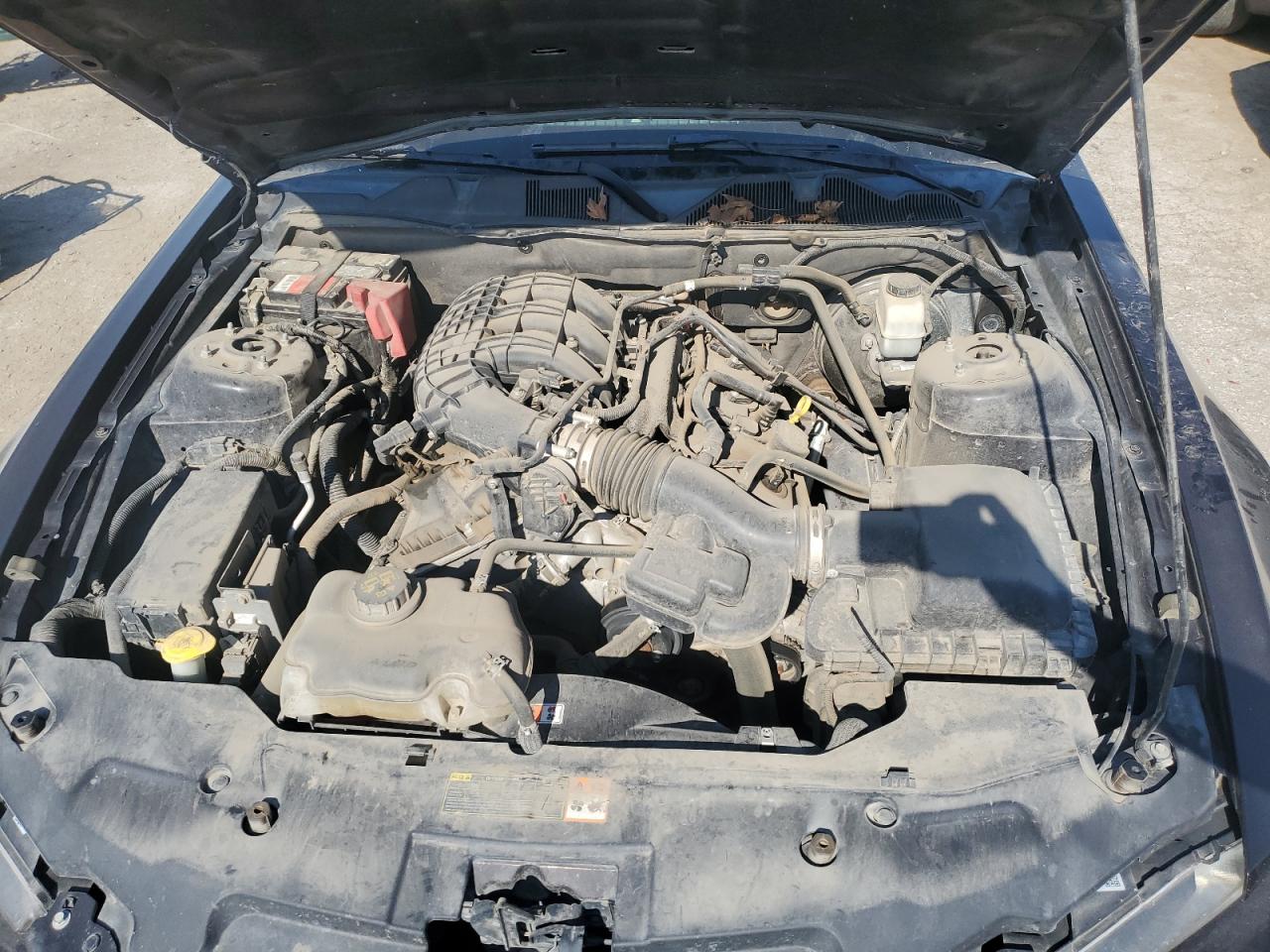 2012 Ford Mustang VIN: 1ZVBP8AM8C5203033 Lot: 69027035