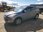 2013 FORD ESCAPE SEL   for sale at Copart AB - EDMONTON