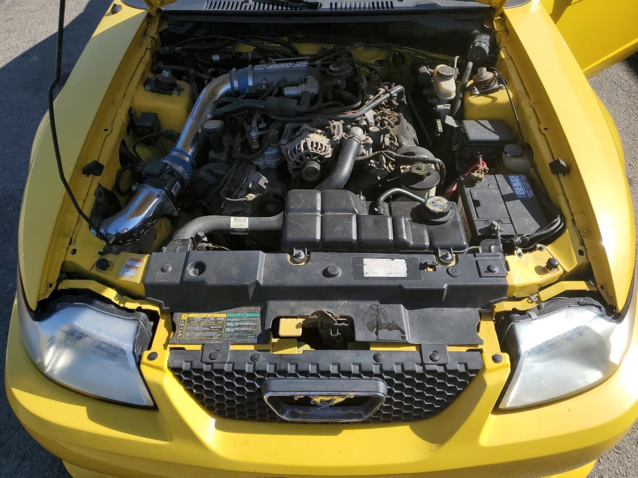 1999 Ford Mustang Gt Roush VIN: 1FAFP42X3XF231799 Lot: 69989935