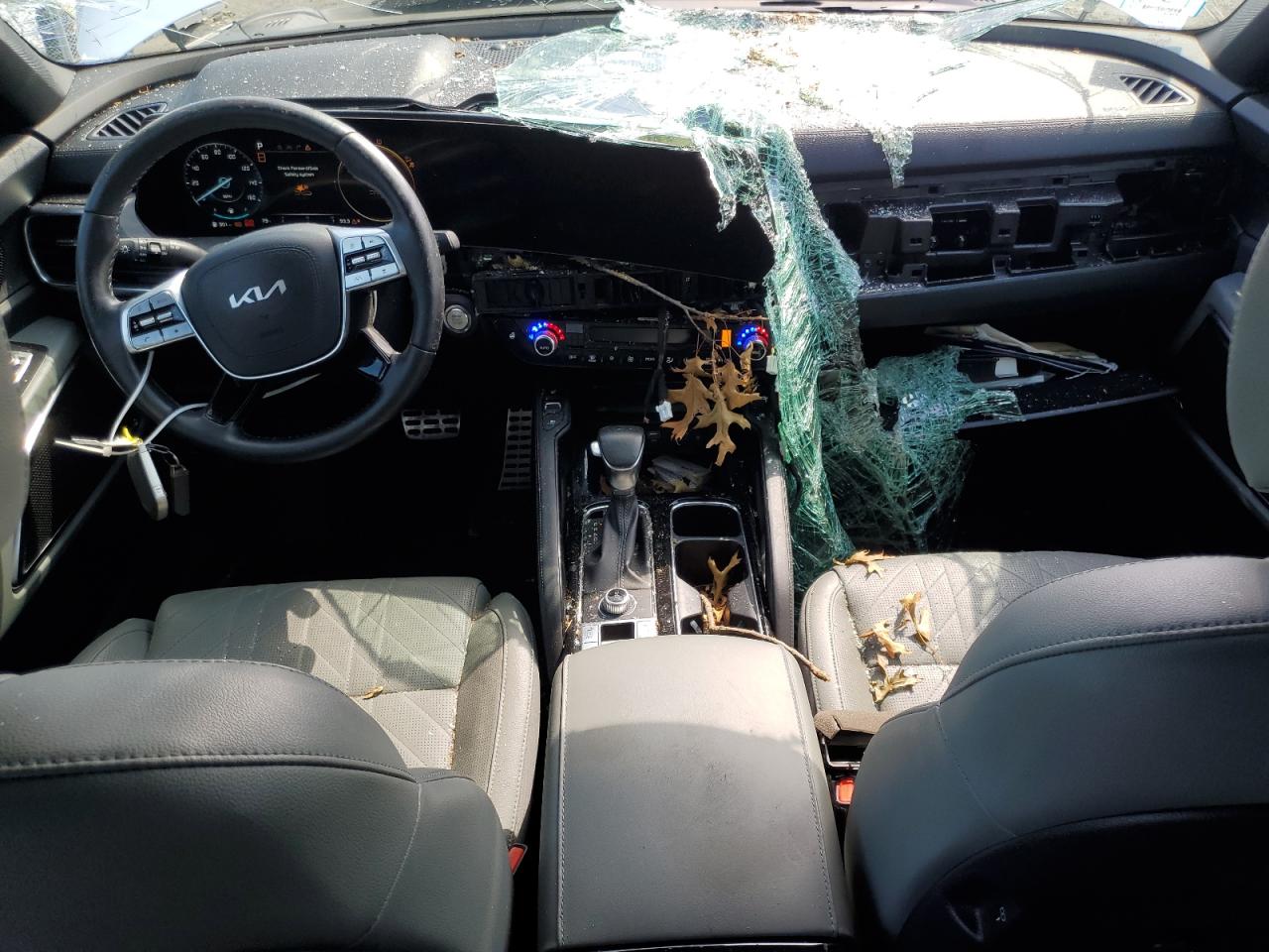 2024 Kia Telluride Sx VIN: 5XYP5DGC1RG448567 Lot: 64713225