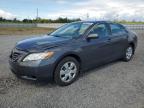 2009 TOYOTA CAMRY BASE   for sale at Copart ON - OTTAWA