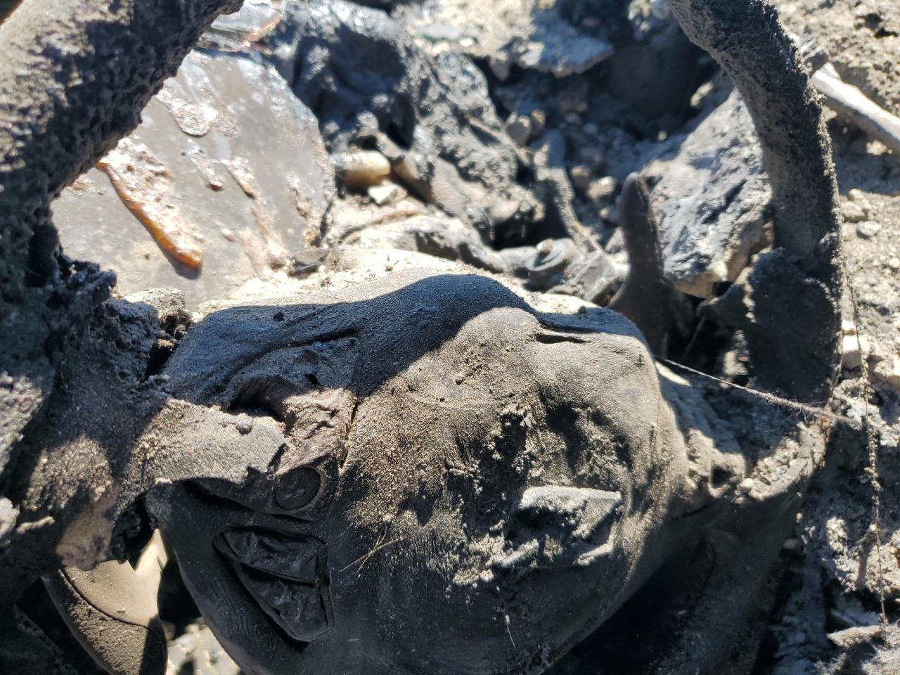 2018 Nissan 370Z Base VIN: JN1AZ4EH7JM570512 Lot: 70543195