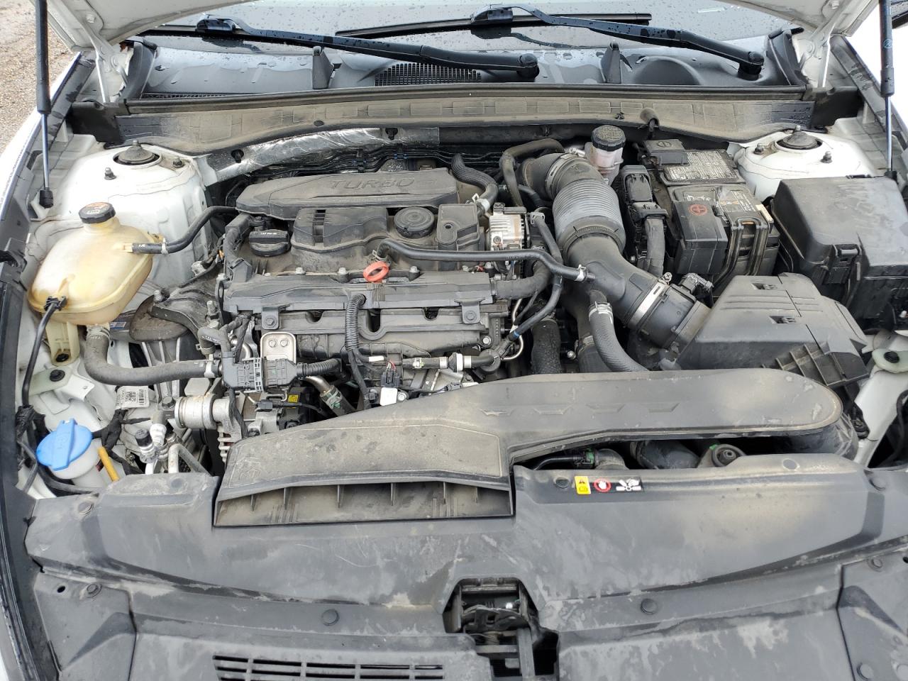 2021 Hyundai Sonata Sel Plus VIN: 5NPEJ4J27MH124947 Lot: 70725755