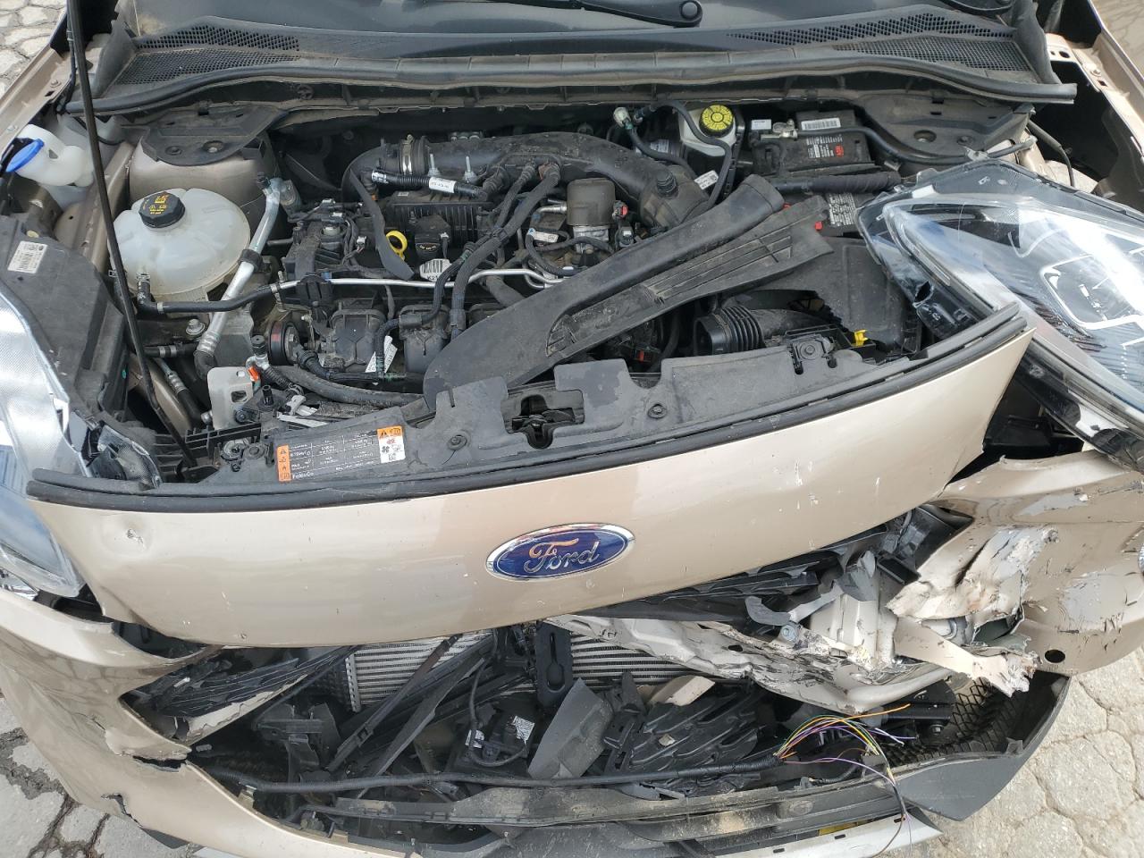 2021 Ford Escape Titanium VIN: 1FMCU9J93MUB23997 Lot: 67260675