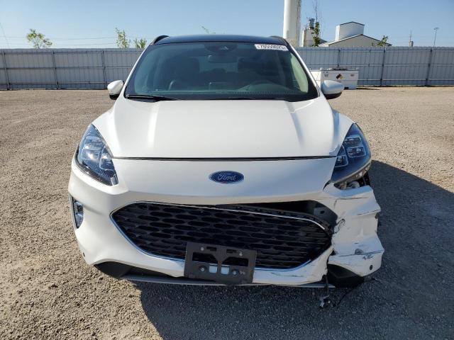  FORD ESCAPE 2020 Белы