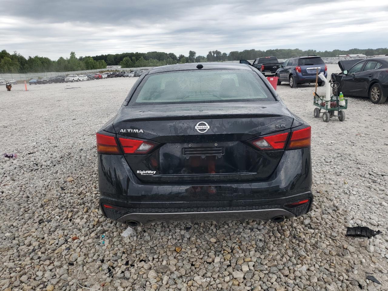 2020 Nissan Altima Sr VIN: 1N4BL4CVXLN317022 Lot: 68638165