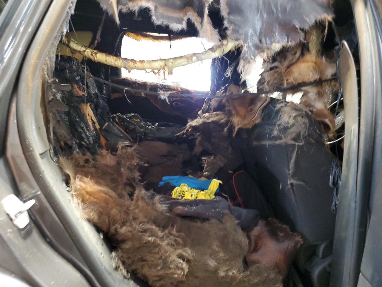 2015 Jeep Cherokee Latitude VIN: 1C4PJMCB4FW774158 Lot: 69181625