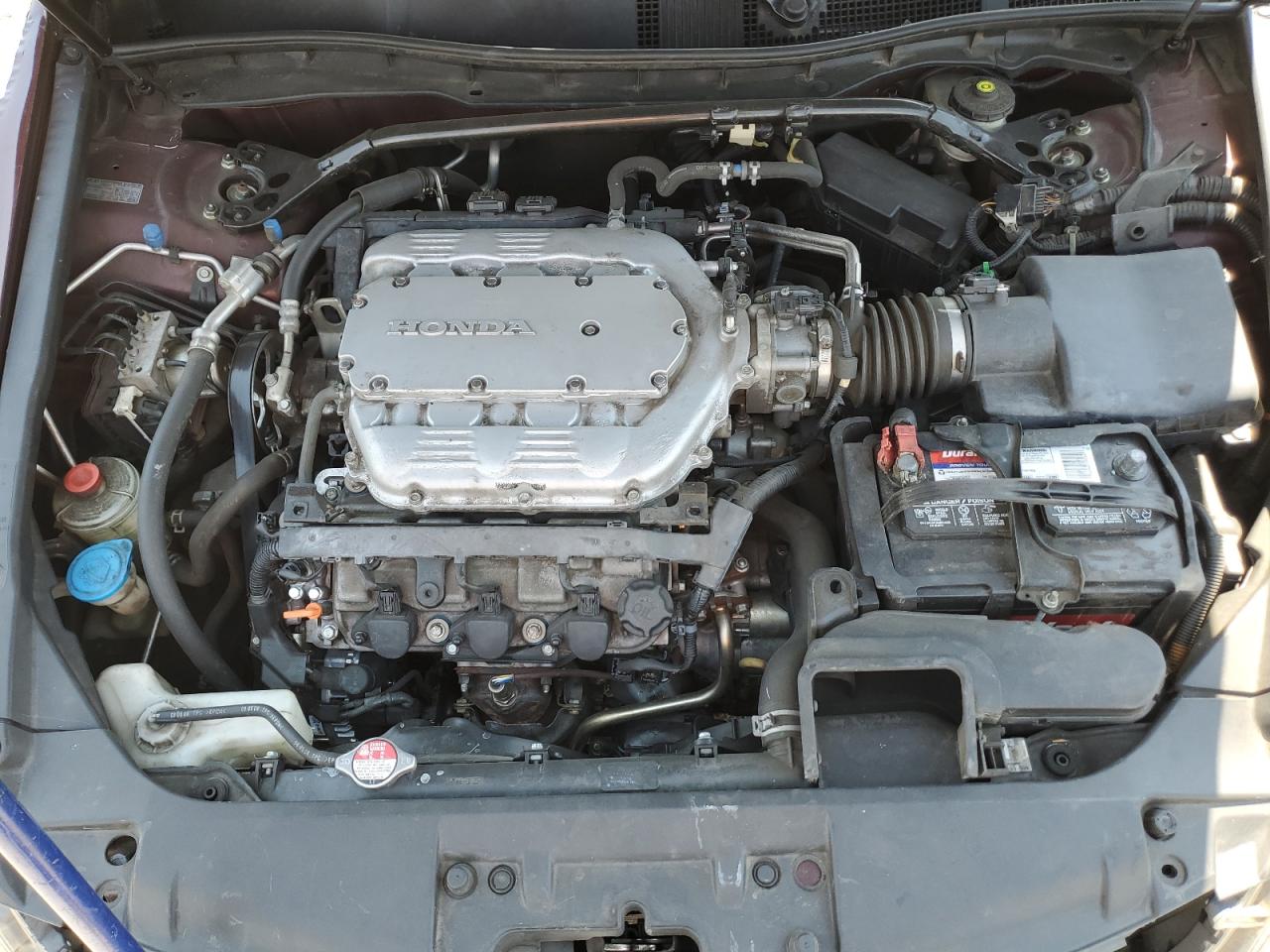 2009 Honda Accord Exl VIN: 1HGCP36869A010547 Lot: 68557885