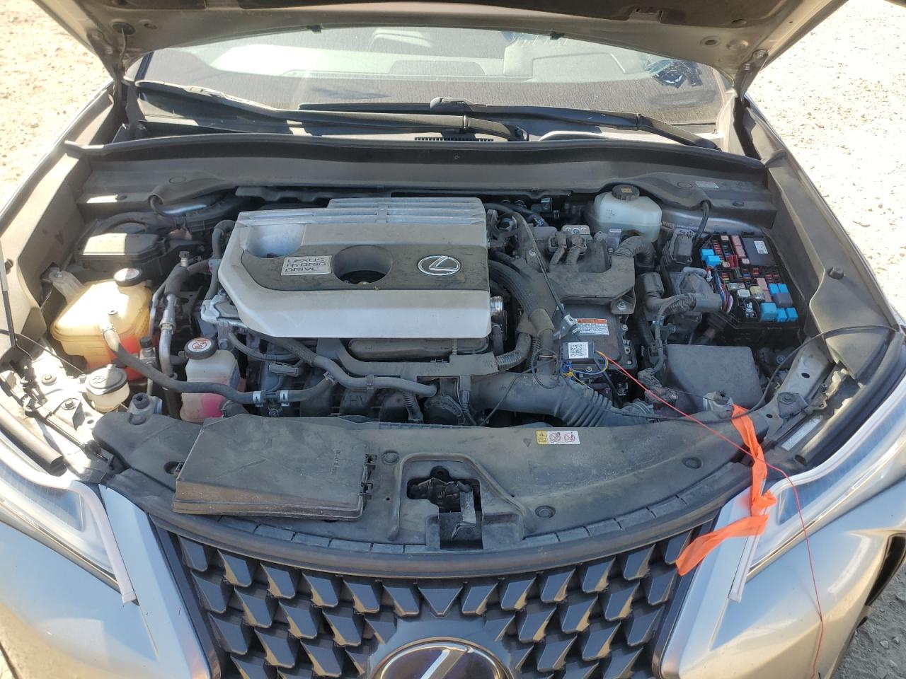 2019 Lexus Ux 250H VIN: JTHU9JBH6K2006942 Lot: 70446845