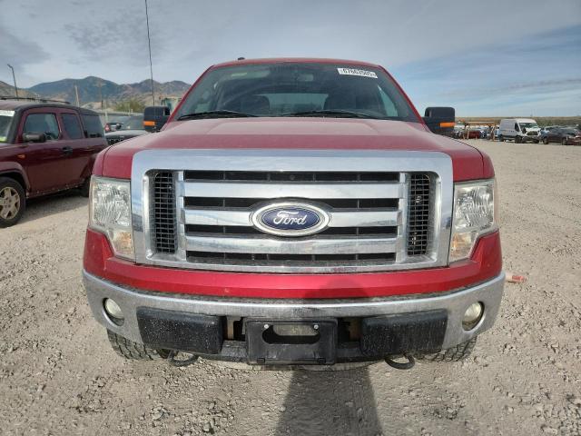 FORD F-150 2012 Burgundy