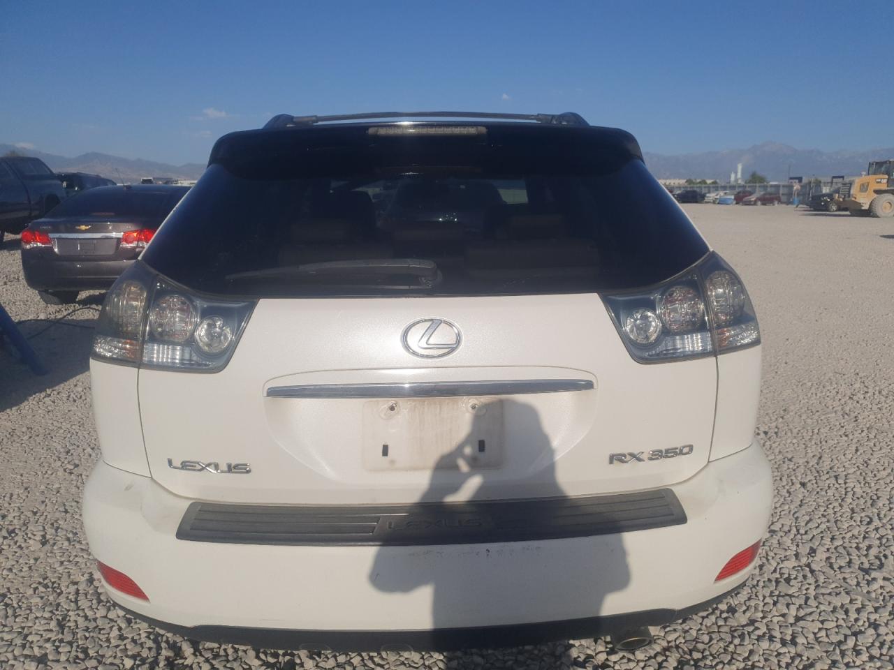 2007 Lexus Rx 350 VIN: JTJGK31U970001389 Lot: 66896985