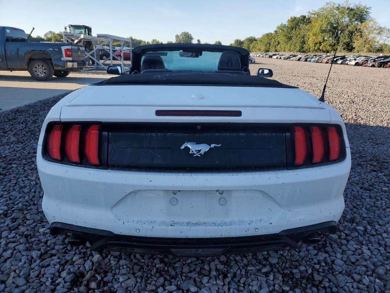 2021 Ford Mustang VIN: 1FATP8UH8M5109408 Lot: 70726355