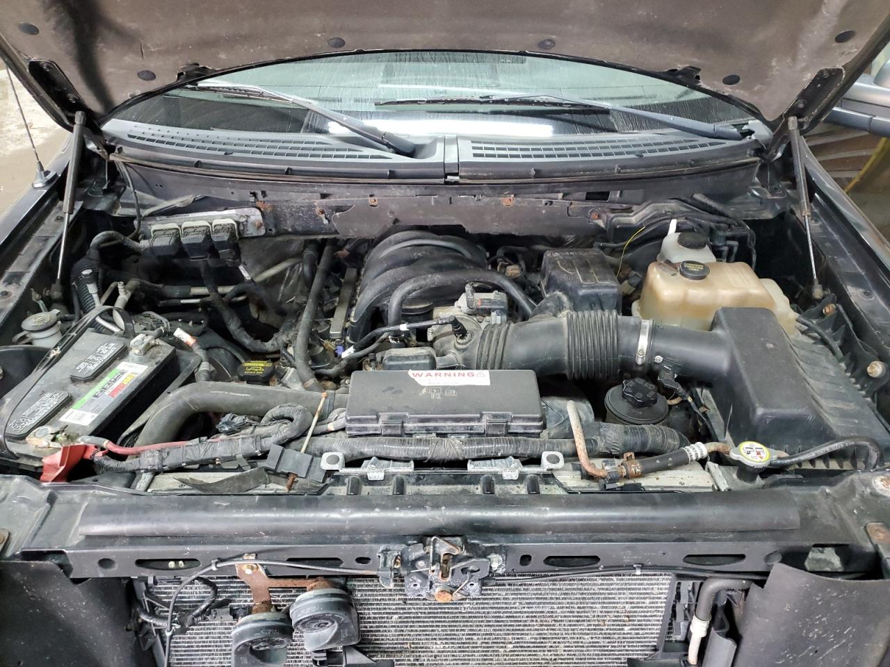 2010 Ford F150 Supercrew VIN: 1FTFW1E81AFA10516 Lot: 67396615