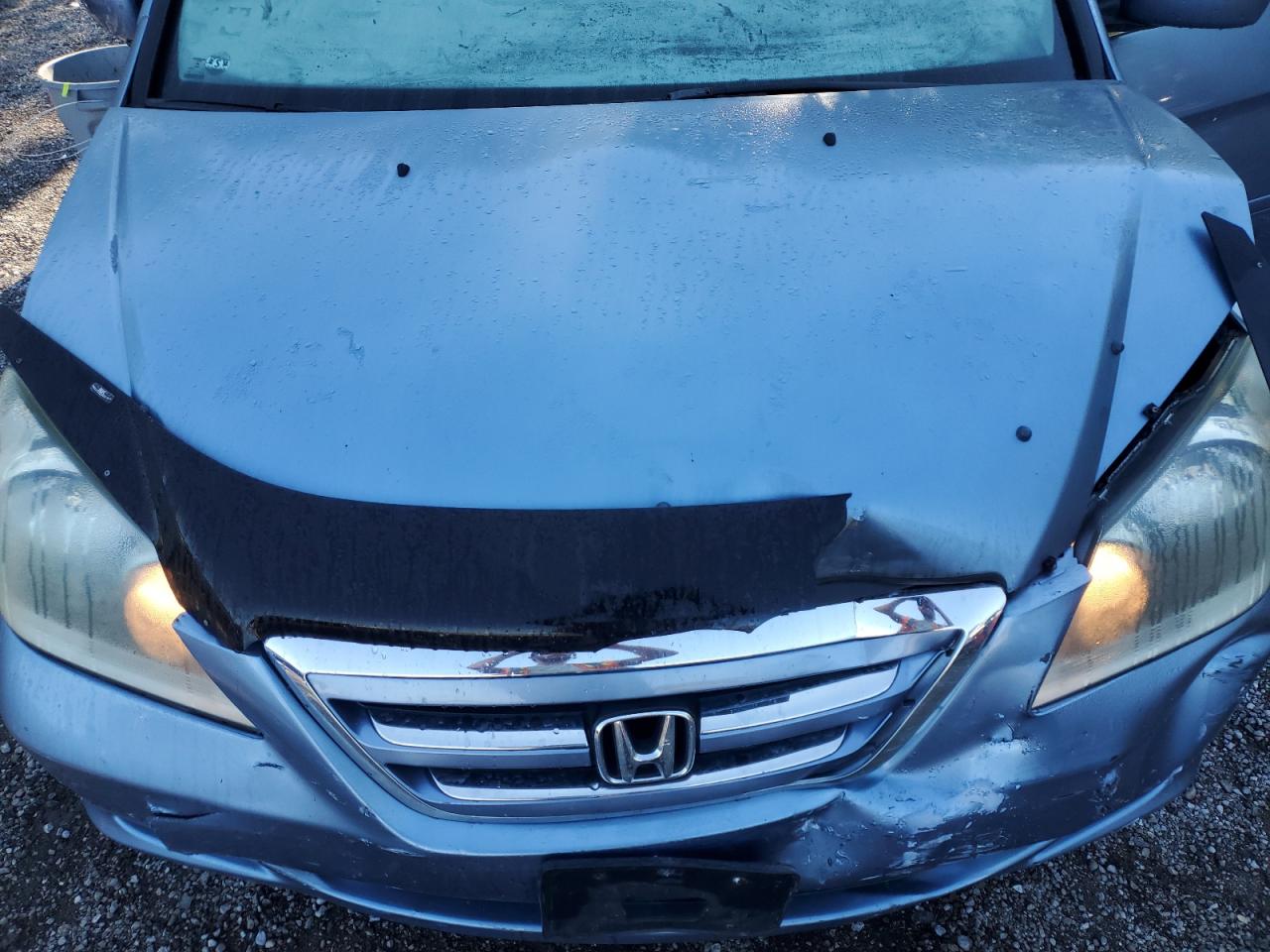 2007 Honda Odyssey Exl VIN: 5FNRL38617B507896 Lot: 69381025