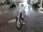 2005 HARLEY-DAVIDSON FLSTCI    for sale at Copart MN - MINNEAPOLIS NORTH