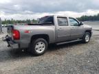 2013 CHEVROLET SILVERADO K1500 LT   for sale at Copart NS - HALIFAX