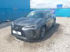2023 LEXUS UX 250H F SPORT DESIGN 4X  for sale at Copart YORK