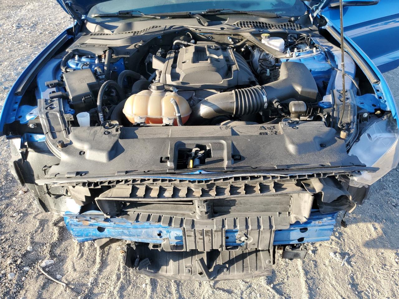 2019 Ford Mustang VIN: 1FATP8UHXK5121136 Lot: 66923695