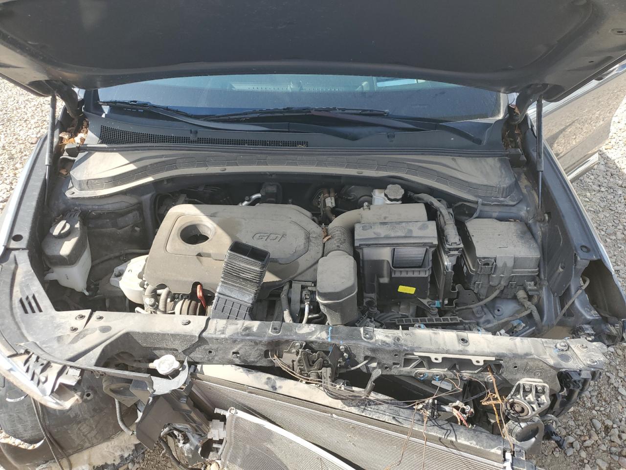 2020 Hyundai Santa Fe Limited VIN: 5NMS5CAD3LH151318 Lot: 69363185