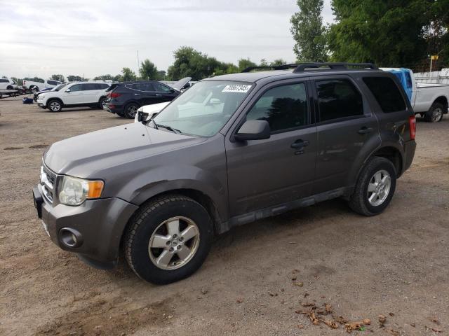 2009 FORD ESCAPE XLT   à vendre chez Copart ON - LONDON
