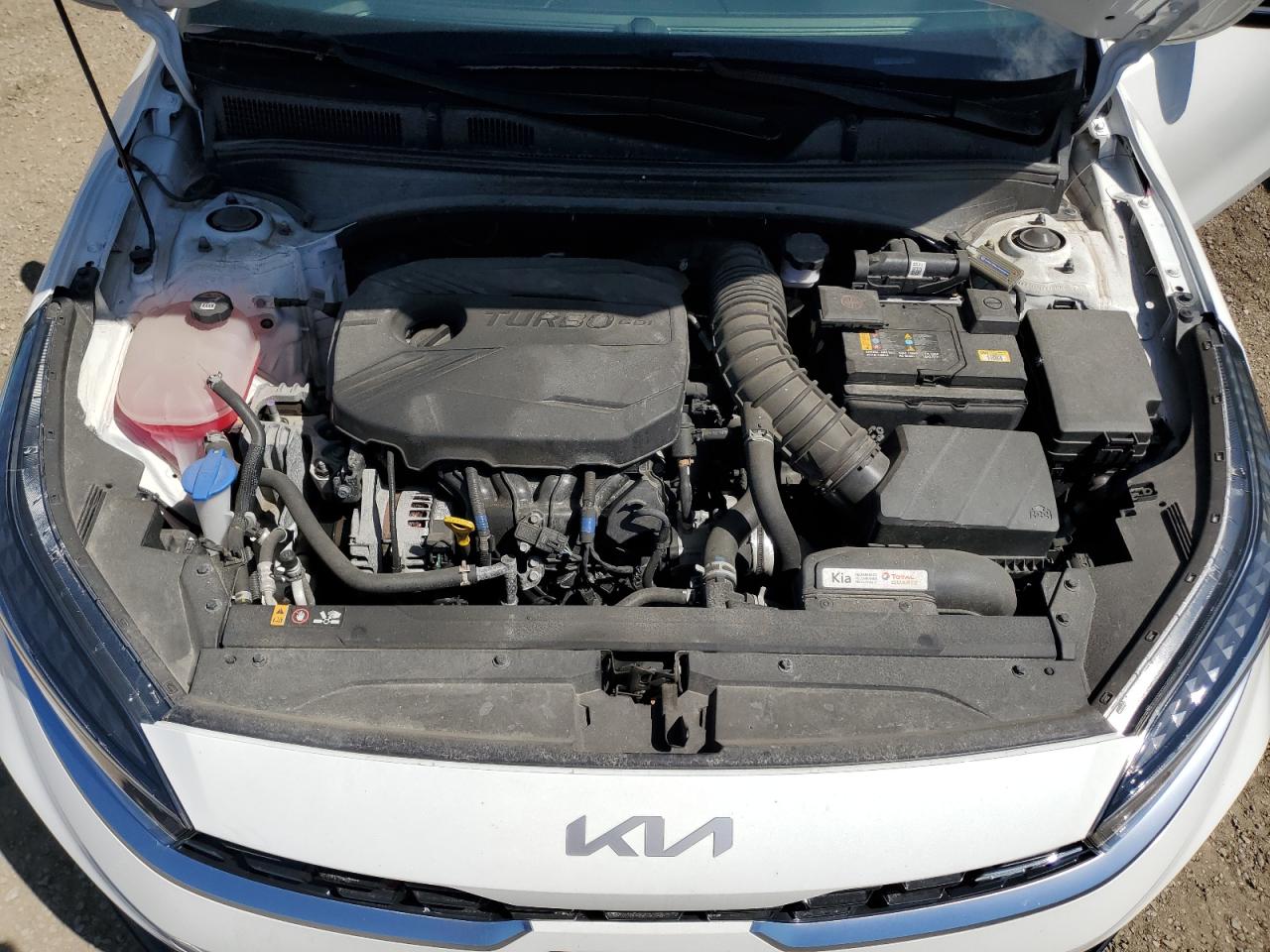 2023 Kia Forte Gt VIN: KNAF45A76P5174172 Lot: 70083645