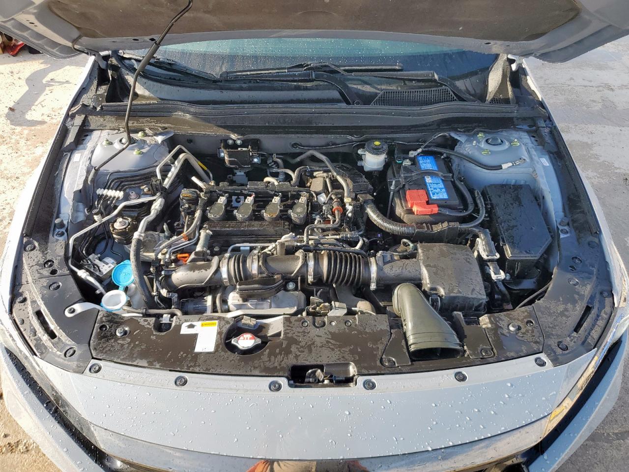 2021 Honda Accord Sport Se VIN: 1HGCV1F46MA035576 Lot: 66873475