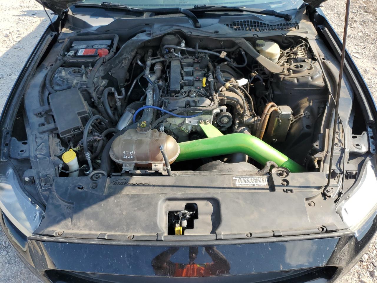 2015 Ford Mustang VIN: 1FA6P8TH8F5311005 Lot: 66360085