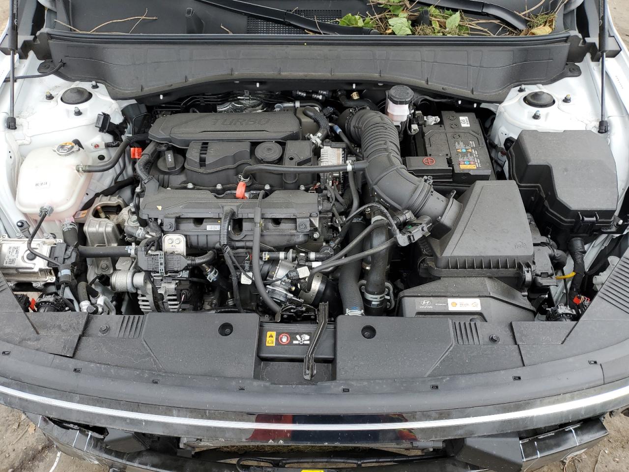 2024 Hyundai Kona Limited VIN: KM8HECA33RU132086 Lot: 69864425